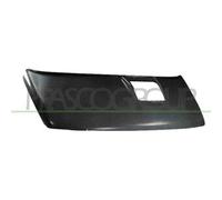 Cofano Per Iveco Turbodaily Dal 1990 Al 2000 Ft9253100 93923150