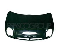 PRASCO MN3043140 Cofano