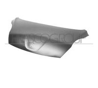 Prasco Cofano anteriore PG2043100 per Peugeot 107 dal 2012