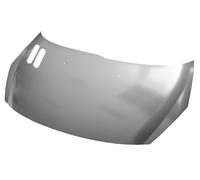 Cofano anteriore per peugeot 206 plus 2009 in poi