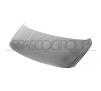 Prasco Cofano anteriore per Peugeot 3008 (dal 2009) – PG5203100