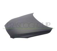 Prasco Cofano per Toyota RAV4 (2006-2009) TY2873100 5330142080