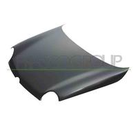 Cofano Per Volkswagen Lupo Dal 1998 Al 2005 Vg3203100 6x0823031a