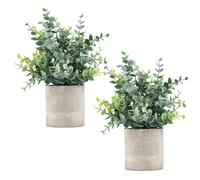 Coferset Confezione da 2 mini piante artificiali di eucalipto in vaso, piccole piante da appartamento per casa, ufficio, scrivania, decorazione della stanza (eucalipto, 2)
