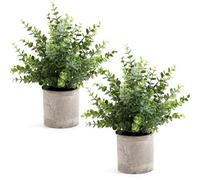 Coferset Confezione da 2 piccole piante finte di eucalipto da 35,6 cm, piante artificiali in vaso, per mensole, scrivanie, casa, bagno, fattoria, tavolino da caffè (verde salvia, grande)