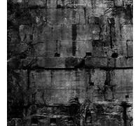 Coffin Dancer - Pax Romana