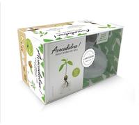 Coffret Avocadabra: Coffret avec 1 vase germoir et 1 livre