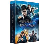 Coffret intégrale wizarding world 10 films ; harry potter 1 à 7 ; les animaux fantastiques 1 et 2
