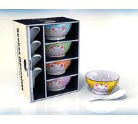 Coffret soupes japonaises: Contient : 4 bols, 4 cuillères et 1 livre de recettes: 13682