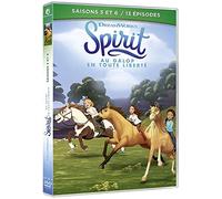 Coffret spirit, saisons 5 et 6, 13 épisodes