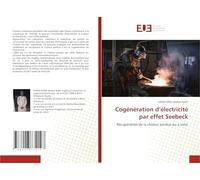Cogénération d'électricité par effet Seebeck: Récupération de la chaleur perdue ou à venir