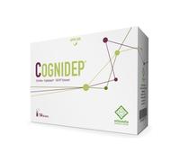 COGNIDEP 14BUST
