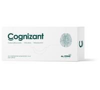 COGNIZANT 10FL.
