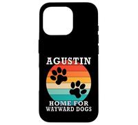 Cognome Agustin Home For Wayward Dogs Custodia per iPhone 16 Pro