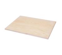 COHEALI Tavolo da Disegno in Legno Solido 8k 0,8 Cm Superficie Liscia, Blocco per Pittura Artistica e Tavolozza, Resistente e Pratico per Studenti, Dilettanti e Creativi