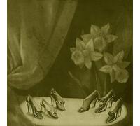 COHEN, ALICE - INTO THE GREY SALONS