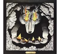 Cohen, Andrew/ Light Coma - Unreality