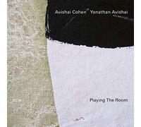 Cohen Avishai, Yonathan Avishai - Playing The Room