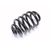 Coil spring Molla ammortizzatore di ricambio Opel Omega A/B SW posteriore
