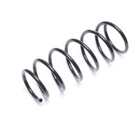 Coil spring Molla di ricambio per ammortizzatore ant. Renault Clio II