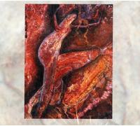 Coil Swanyard (CD)
