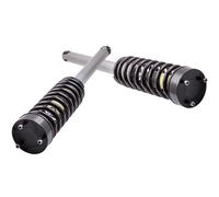 Coilover filettato Ammortizzatori for Mercedes S430 S500 W220 2000-06 Posteriore