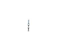 Coinceur Black Diamond Z4 .3 Argento TU