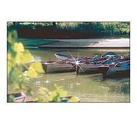 Cokin 056 Stella 8 P