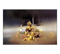 Cokin 061 Punto incolore 2 A