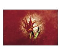 Cokin 068 Spot A rosso