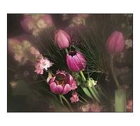 Cokin 071 WW spot incolore 2 P