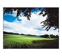 Cokin 121L Grigio sfumato 2 ND2 P