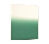 Filtro Cokin A131, misura S, mezzo smeraldo E2