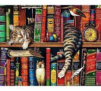 COKYIS Kit Punto Croce Prestampato,gatto da scaffale principianti mestieri,kit ricamo,tela per punto croce,Decorazioni la casa 40x50cm (Tela prestampata 11CT)