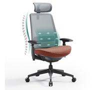 COLAMY Sedia da ufficio ergonomica, con supporto lombare, braccioli 4D e regolazione della profondità della seduta, ergonomica, vincitore del test, portata fino a 136 kg, per ufficio e ufficio, grigio