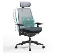 COLAMY Sedia da ufficio ergonomica, con supporto lombare, braccioli 4D e regolazione della profondità della seduta, ergonomica, vincitore del test, portata fino a 136 kg, per ufficio e ufficio, colore