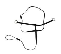 Colcolo Corretto Portamento Cinghia Regolabile E Anelli Stabile per Training Pista Addestramento Prelievo Equestre Adatta Cavalieri Principianti Esperti.