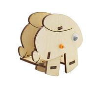 Colcolo Kit Modello Fai-da-Te del Progetto scientifico in Legno, Giocattoli per l'apprendimento precoce di Piccole invenzioni, Sviluppo di