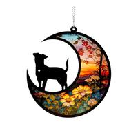 Colcolo Memoriale per Cani, Regalo per La Perdita di Un Animale Domestico, Ricordo in Acrilico per Amanti Dei Cani