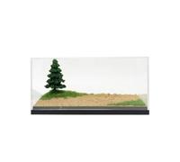 Colcolo Miniatura Espositore Vetrina Teche Diorama Scatola Esposizione con Base Stabile Chiara per Conservazione Visibile in Plastica E Acrilico Adatta per Scrivania Ufficio Sala Hobby Vetrina
