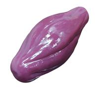 Colcolo Modello di del muscolo umano Modelli realistici di tessuto muscolare Modello anatomico per nutrizionisti