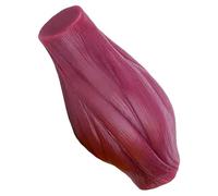 Colcolo Strumento didattico per modelli di muscoli umani, modello anatomico scientifico a grandezza naturale per appassionati di fitness