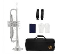 Colcolo Tromba Bb Standard Strumento Ottoni Tromba Classica a Pistoni Tonalità Chiara Risonante Corpo Ottone con Accessori Completi Custodia Bocchino, Argento
