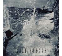Cold Specks - I Predict A Graceful Expulsion (Vinyl)