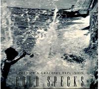 Cold Specks - Predict A Graceful Expulsion