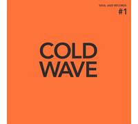 Various Artists Cold Wave #1 (Vinyl LP) 12" Album