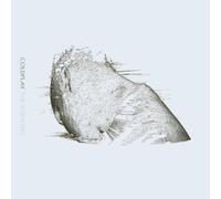 Coldplay - The Scientist