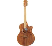 Cole Clark AN2EC-BLBL-SB Satin Box Fretb.