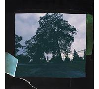 J. Cole 4 Your Eyez Only (Vinyl LP) 12" Album