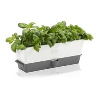 Cole & Mason H105349 Burwell Vaso Autoirrigante per Erbe Aromatiche per Interni Triplo, Orto da interno, Con Serbatoio dell'Acqua, Perfetto per Davanzali e Cucina, Acciaio inossidabile, Per 3 Pentole